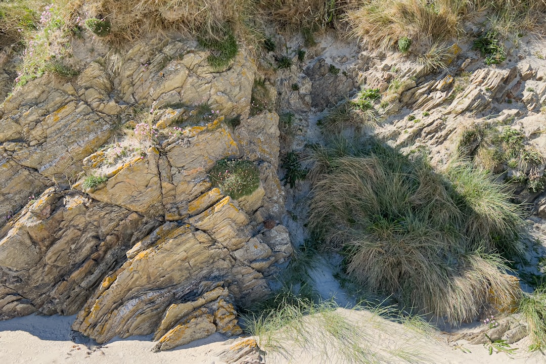 erosion control solutions