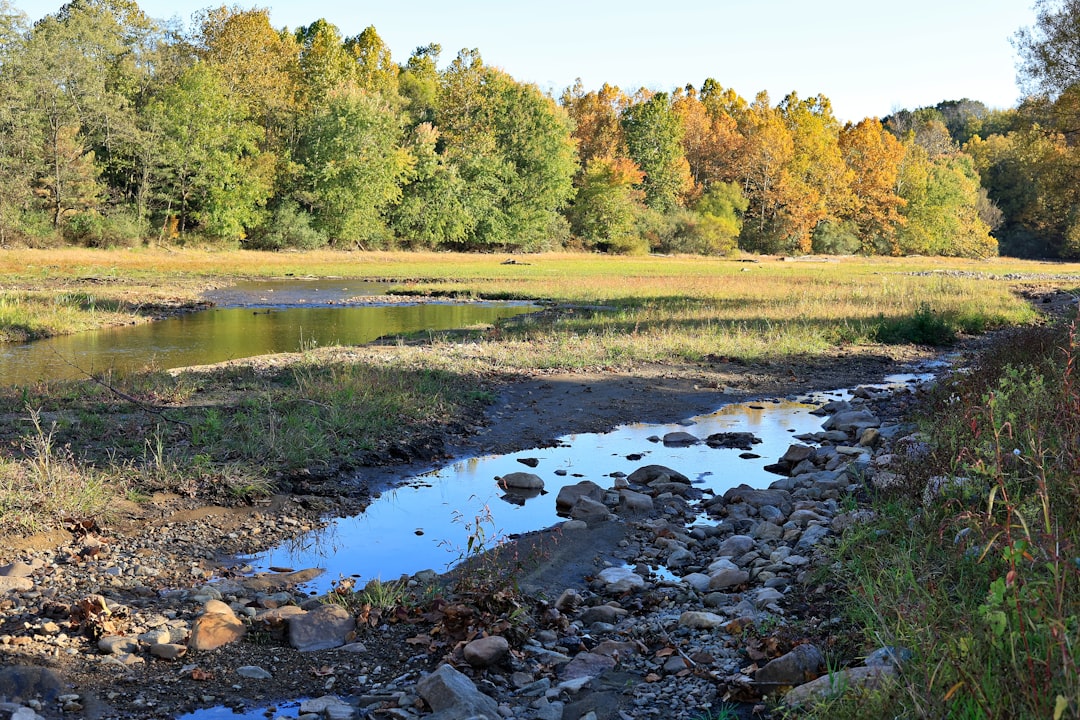 pond bank stabilization