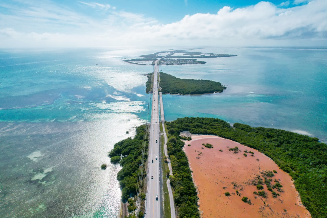 paving companies in florida